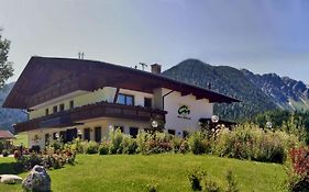 Panorama Hotel Cis - Bed And Breakfast